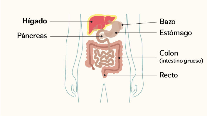 Diagrama
El contenido generado por IA puede ser incorrecto.