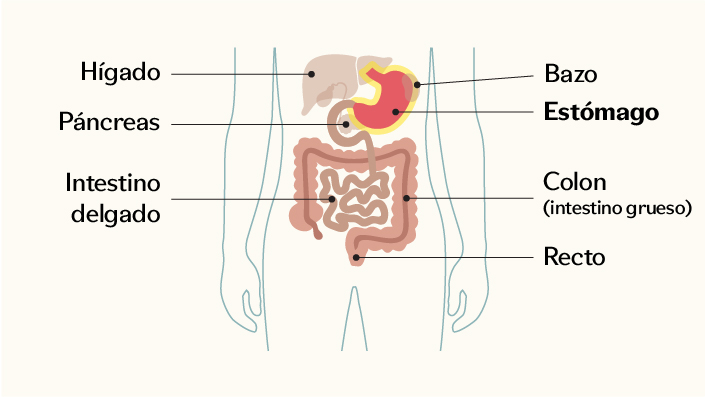 Diagrama
El contenido generado por IA puede ser incorrecto.