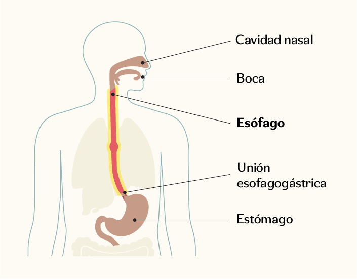 Diagrama

El contenido generado por IA puede ser incorrecto.