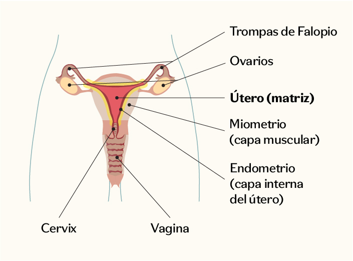 Diagrama
El contenido generado por IA puede ser incorrecto.