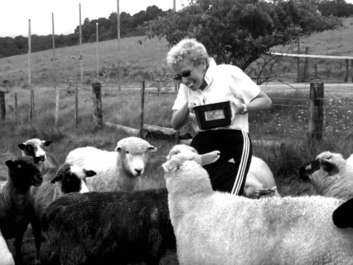 Bárbara alimentando unas ovejas