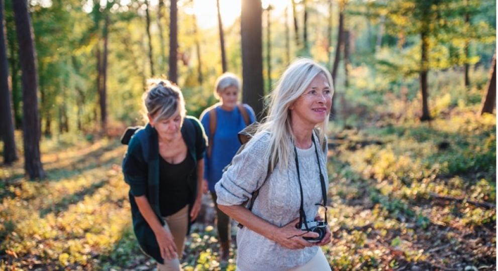 Mujeres paseando por el campo entre árboles